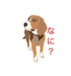 ぽんちゃっくの日常（個別スタンプ：1）