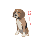 ぽんちゃっくの日常（個別スタンプ：8）