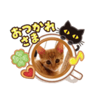 茶トラのちゃくん2（個別スタンプ：8）