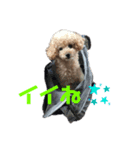海君（個別スタンプ：7）