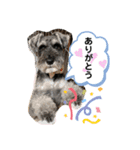 吹き出しナッシュ（個別スタンプ：3）