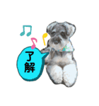 吹き出しナッシュ（個別スタンプ：9）