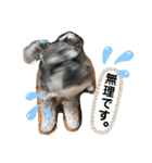 吹き出しナッシュ（個別スタンプ：10）