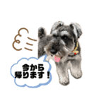 吹き出しナッシュ（個別スタンプ：13）
