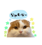 うちの子たちPart3（個別スタンプ：20）