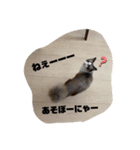 ひめちゃん一言スタンプその①（個別スタンプ：12）