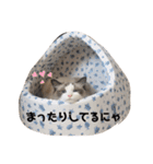 ひめちゃん一言スタンプその①（個別スタンプ：14）