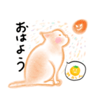 みかんとねこ（個別スタンプ：10）