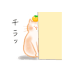 みかんとねこ（個別スタンプ：12）