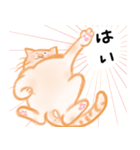 みかんとねこ（個別スタンプ：15）