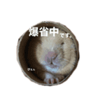 大野さんちのハムちゃんズ（個別スタンプ：2）