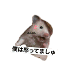 大野さんちのハムちゃんズ（個別スタンプ：4）