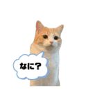 むぎちょこの日常2（個別スタンプ：1）