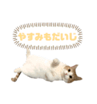 むぎちょこの日常2（個別スタンプ：5）