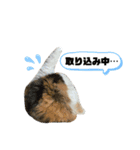 むぎちょこの日常2（個別スタンプ：15）