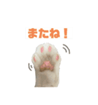 むぎちょこの日常2（個別スタンプ：16）
