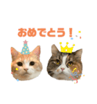 むぎちょこの日常2（個別スタンプ：22）