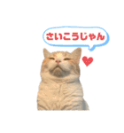 むぎちょこの日常2（個別スタンプ：23）