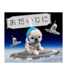 ペキニーズ隊 ②（個別スタンプ：7）