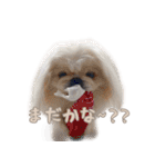 ペキニーズ隊 ②（個別スタンプ：30）