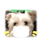いろいろうーにゃん♡（個別スタンプ：3）
