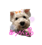 いろいろうーにゃん♡（個別スタンプ：14）