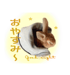 男一匹うさぎの桃次郎（個別スタンプ：2）