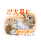 男一匹うさぎの桃次郎（個別スタンプ：22）