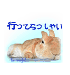 男一匹うさぎの桃次郎（個別スタンプ：32）