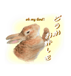 男一匹うさぎの桃次郎（個別スタンプ：36）