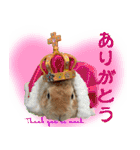 男一匹うさぎの桃次郎（個別スタンプ：38）