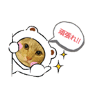 わらびくんスタンプの第二弾です！（個別スタンプ：7）