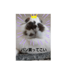 きなこのきなこのためのスタンプ（個別スタンプ：3）