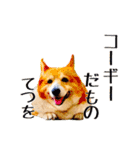 コーギーの徹之進くん（個別スタンプ：4）