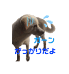きなこの日常ʕ•ᴥ•ʔ（個別スタンプ：10）