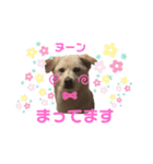 きなこの日常ʕ•ᴥ•ʔ（個別スタンプ：13）