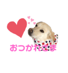 きなこの日常ʕ•ᴥ•ʔ（個別スタンプ：14）
