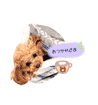 hana.rin.（個別スタンプ：2）