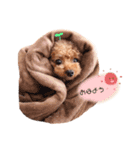 hana.rin.（個別スタンプ：4）