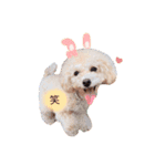 hana.rin.（個別スタンプ：10）