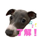 Leonくんのスタンプ（個別スタンプ：7）