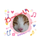 猫のルキとレンレン（個別スタンプ：14）