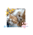 猫のルキとレンレン（個別スタンプ：23）