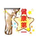 猫のルキとレンレン（個別スタンプ：27）