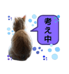 猫のルキとレンレン（個別スタンプ：28）