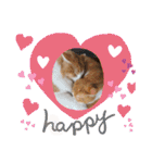 猫のルキとレンレン（個別スタンプ：35）