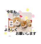 猫のルキとレンレン（個別スタンプ：39）