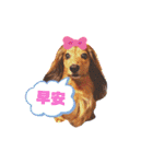 ルルの日常①（個別スタンプ：1）