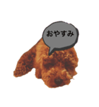 プードルのもこ（個別スタンプ：3）