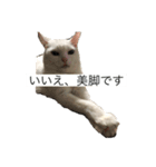 きりまるとこまち1（猫）（個別スタンプ：10）